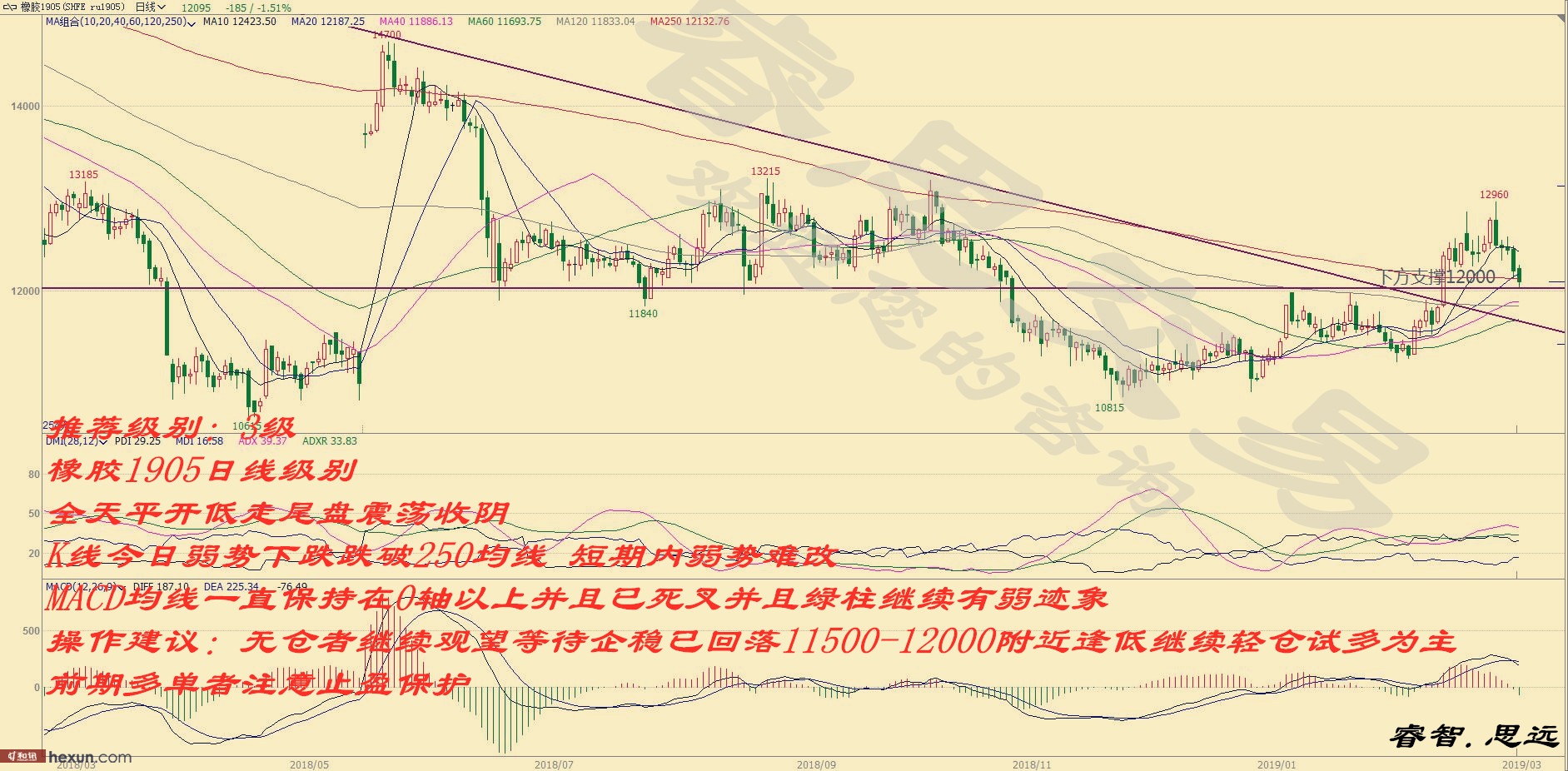 �˼���ף�3��11�ղ��̲���